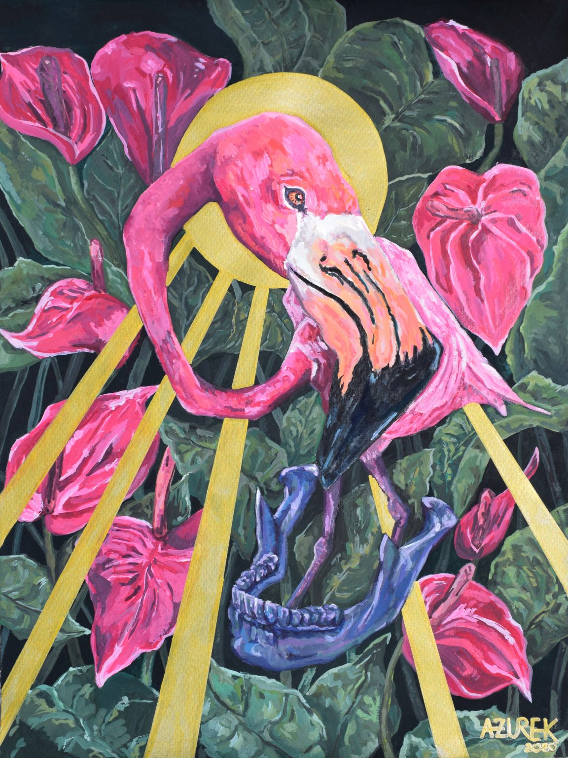 flamingo lily hawaii